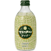 JP Tomomasu Melon 330ml